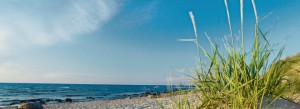 AIDA Angebote Ostsee und Nordeuropa