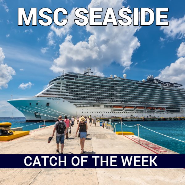 CATCH OF THE WEEK – BIS ZU 35% REDUZIERT! CATCH OF THE WEEK – BIS ZU 35% REDUZIERT!