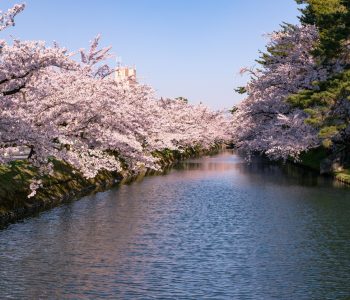 China, Südkorea & Japan zur Frühlingsblüte